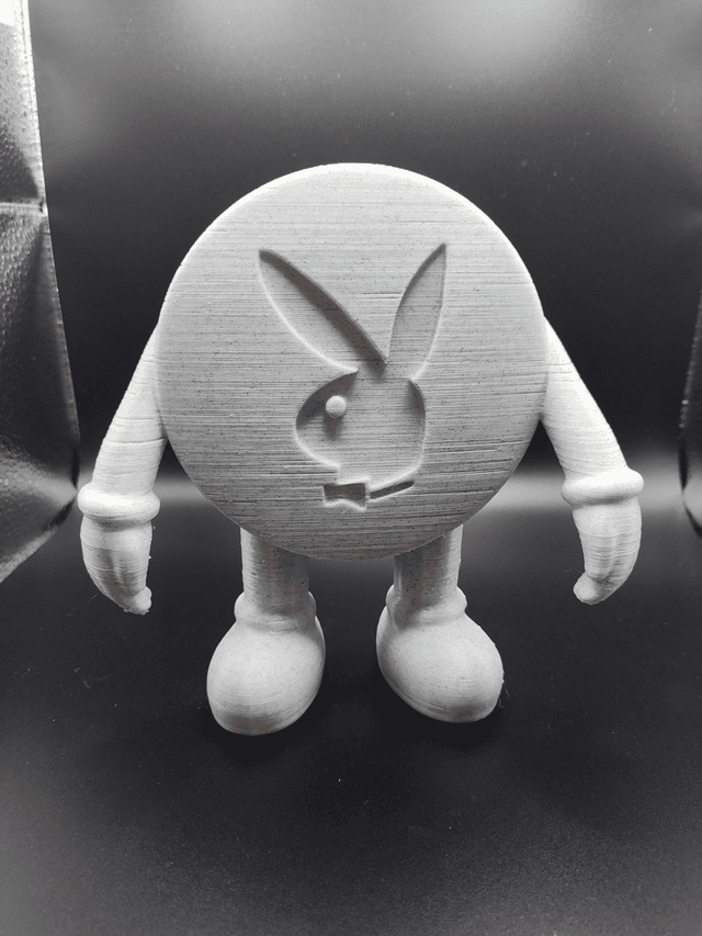 Mr Playboy Man
